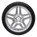 Pneu Aro 15 195/55R15 Dunlop Direzza DZ102 85V - imagem adicional 2