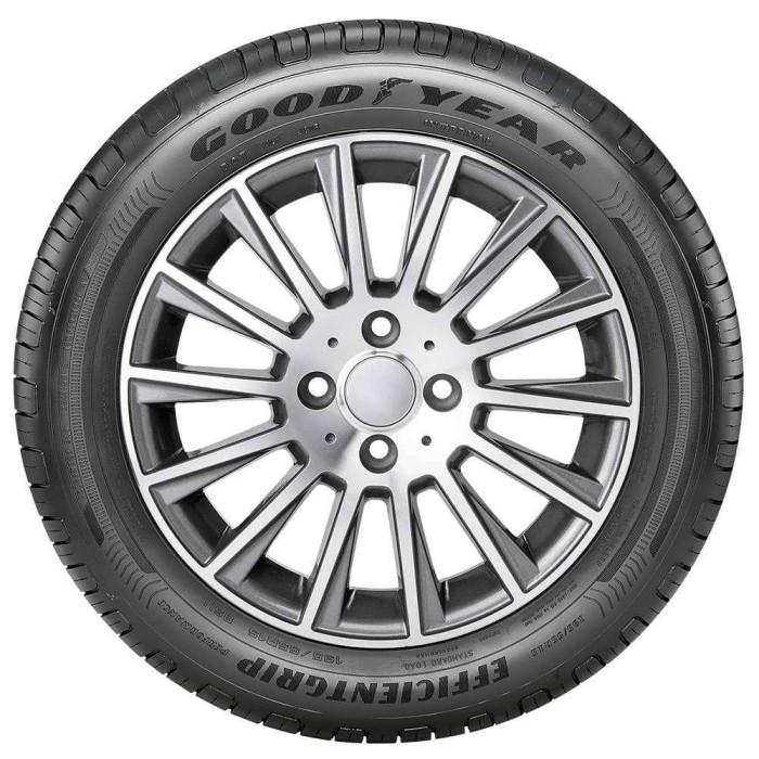 Pneu Aro 17 Goodyear Efficientgrip Performance 205/55R17 91V Pneu Aro 17 Goodyear Efficientgrip Performance 205/55R17 91V
